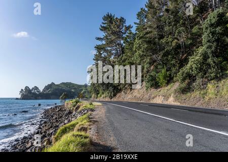 landscape with coastal road on Thames firth looking toward north, shot in bright late spring light at Wilson bay, Coromandel, North Island, New Zealan Stock Photo