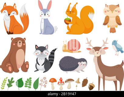 Cute woodland animals. Wild animal, forest flora and fauna elements isolated cartoon vector illustration set Stock Vector