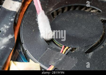 Cleaning a laptop's cooling system with a cotton swab. Stock Photo