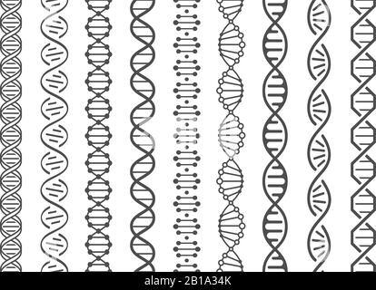 Seamless DNA spiral. Adn helix structure, genomic model and human genetics code pattern vector illustration set Stock Vector