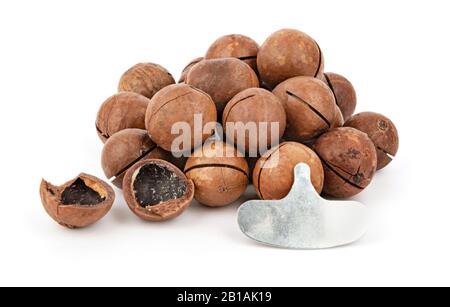 Heap of whole macadamia nuts and kernel on white background Stock Photo