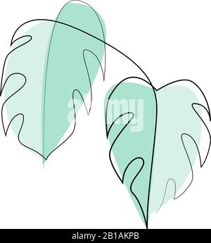 Exotic monstera continuous one line drawing summer tropical leaves hand drawn on white background minimalist design. Vector illustration Stock Vector
