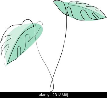 Monstera delicosa plant leaves continuous one line drawing minimalist design. Simple minimalism style on white background. Vector illustration Stock Vector