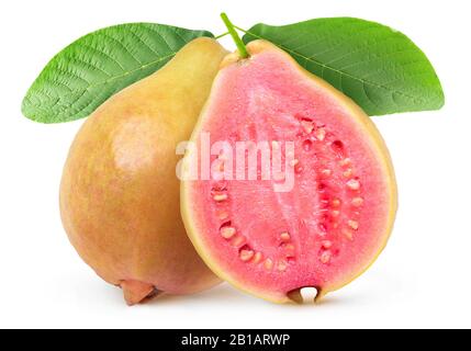 Isolated guava. One whole yellow guava fruit and a half with pink flesh on a branch with leaves isolated on white background with clipping path Stock Photo