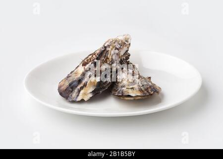 boiled oysters on plate closeup isolated on white background Stock Photo