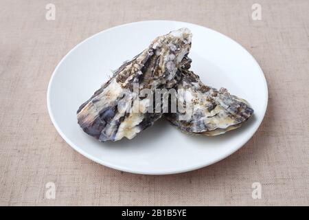 boiled oysters on plate closeup isolated on table cloth Stock Photo