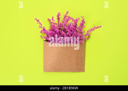 Bright purple or violet flowers in craft brown envelope with copy space isolated on light green background. Trendy banner for Valentines Day or Intern Stock Photo