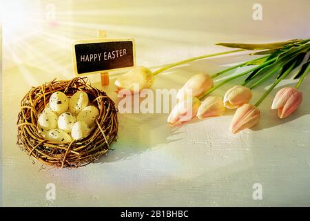 Easter eggs and tulips on wooden planks. Stock Photo