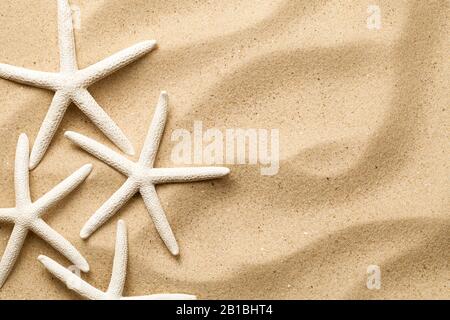 Starfishes on sand background. Top view. Flat lay Stock Photo
