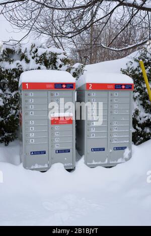 Canada Post communal mailbox covered with snow. Stock Photo