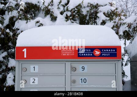 Canada Post communal mailbox covered with snow. Stock Photo