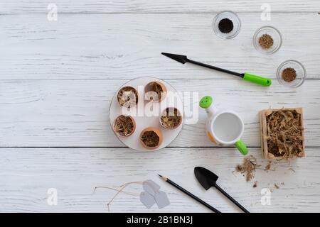 Stages of planting and growing microgreens in egg shells, watercress, mustard, basil indoor, gardening instruments, watering can, scissors, seeds, pap Stock Photo