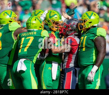 Tampa, Florida, USA. 22nd Feb, 2020. Quarterback TAYLOR CORNELIUS (4) of the Tampa Bay Vipers celebrates a touchdown during the XFL Tampa Bay Vipers vs Houston Roughnecks game at Raymond James Stadium in Tampa, Fl on February 22, 2020. Credit: Cory Knowlton/ZUMA Wire/Alamy Live News Stock Photo