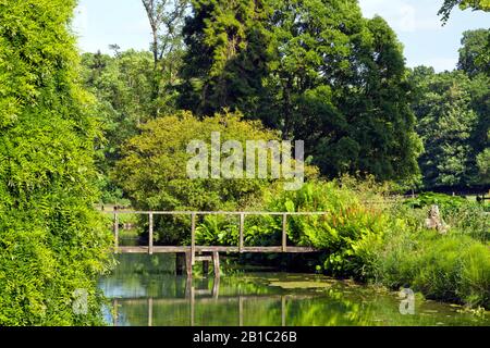 Old wooden bridge across small river with lush vegetation growing on the banks, in an English countryside on a summer sunny day .