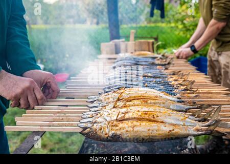 roasting mackerel on a charcoal grill during an outdoor picnic in the park. fish as a delicacy to eat Stock Photo