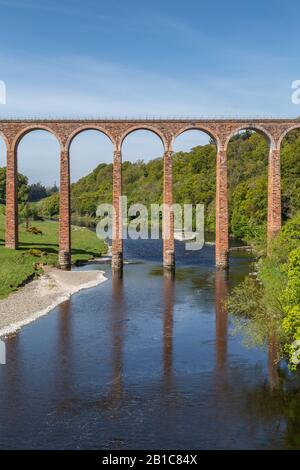 The Leaderfoot Viaduct, also known as the Drygrange Viaduct, is a railway viaduct over the River Tweed near Melrose in the Scottish Borders Stock Photo