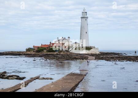 Man wading through the water as the tide comes in at St Mary's Lighthouse, Whitley Bay, North East England. The causeway is underwater at high tide. Stock Photo