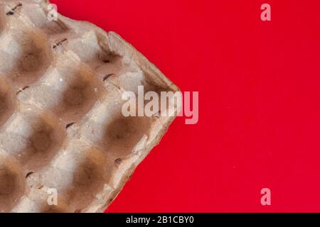 An empty craft egg carton on the red background. View from above. Top view. Copy space Stock Photo