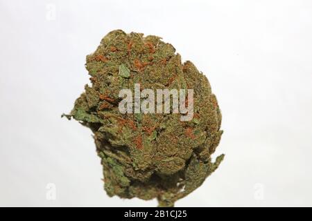 Cannabis close up super skunk lemon haze background stock photos high quality Stock Photo