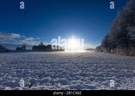 snowy landscape at the Delleboersterheide, Netherlands, Frisia, Delleboersterheide, Ooststellingwerf Stock Photo