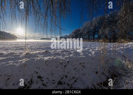 snowy landscape at the Delleboersterheide, Netherlands, Frisia, Delleboersterheide, Ooststellingwerf Stock Photo