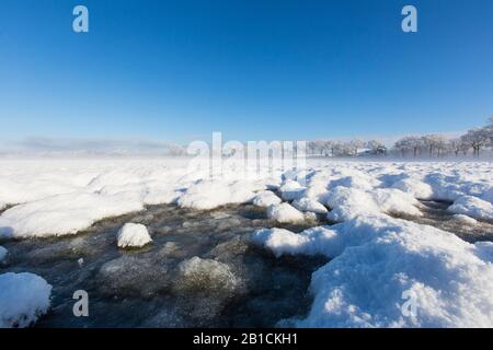 snowy landscape at the Delleboersterheide, Netherlands, Frisia, Delleboersterheide, Ooststellingwerf Stock Photo