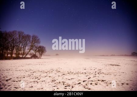 Delleboersterheide at night, Netherlands, Frisia, Delleboersterheide, Oldeberkoop Stock Photo