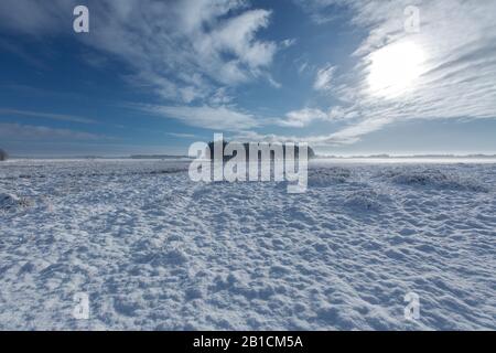 Landscape with snow, Netherlands, Frisia, Delleboersterheide, Ooststellingwerf Stock Photo