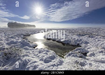 Landscape with snow, Netherlands, Frisia, Delleboersterheide, Ooststellingwerf Stock Photo