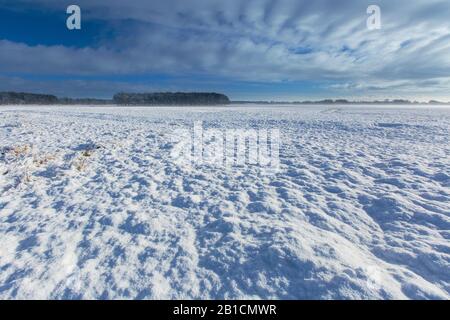 Landscape with snow, Netherlands, Frisia, Delleboersterheide, Ooststellingwerf Stock Photo