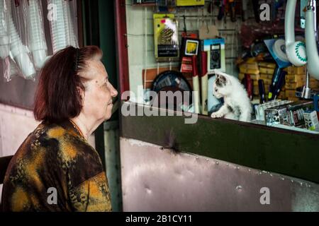 BELGRADE, SERBIA - JUNE 3, 2015: Senior Old Woman looking at a young stray white kitten in the streets of Belgrade, smiling, while the cat is observin Stock Photo