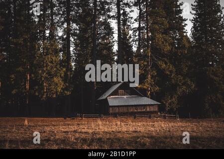 A random cabin in the forest. Stock Photo