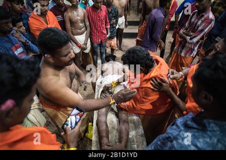 Devotees being pierced with hooks to hang as a ritualistic act of devotion, Garudan Thookkam, during Thaipooyam (Thaipoosam), Kedakulam, Kerala, India. Stock Photo