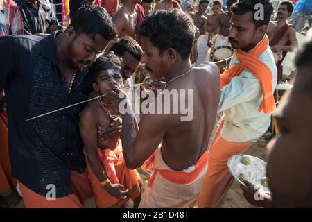 Devotees having a spear piercing in his mouth (Kavadi Aattam) as an act of devotion during Thaipooyam, or Thaipoosam, Festival in Kedakulam, Kerala. Stock Photo