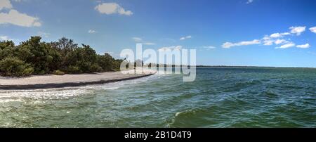 Driftwood and White sand along Lighthouse Beach Park in Sanibel, Florida Stock Photo