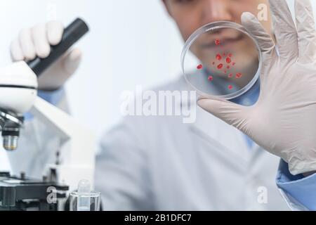 Competent international expert checking blood drops in lab Stock Photo