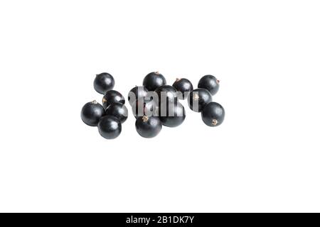black currant isolated on white background. blackcurran berry Stock Photo