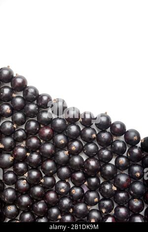 black currant on white background. Top view. Flat lay pattern. Stock Photo