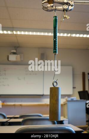 Weight hanging on Newton spring balance for measuring force. Physics experiment. Stock Photo