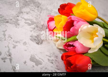 A bouquet of fresh, bright, multi-colored tulips on a light gray background Stock Photo