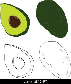 Avocado, sketch vector, line art. Digital drawn. Illustration of green vegetable. Design for menu Stock Vector