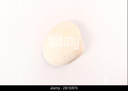 One single white seashell against white. Top view. Horizontal photo with copy space. Stock Photo