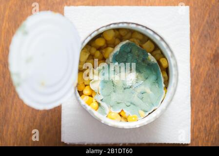 moldy canned corn in a jar. concept of spoiled unhealthy food. fungus Stock Photo