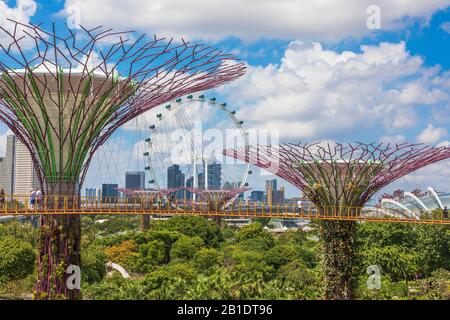 View of the towering vertical gardens and supertrees in Gardens by the Bay, Singapore, Asia  against the ferris wheel called the Singapore Flyer Stock Photo