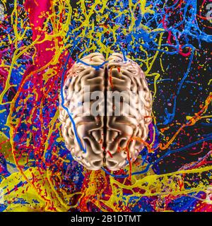 3d image of a gold colored human brain and an explosion of color. concept of creativity and artistic sense. Nobody around. Stock Photo