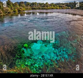 Te Waikoropupu Springs (Pupu Springs), near Takaka, Tasman District, South Island, New Zealand Stock Photo