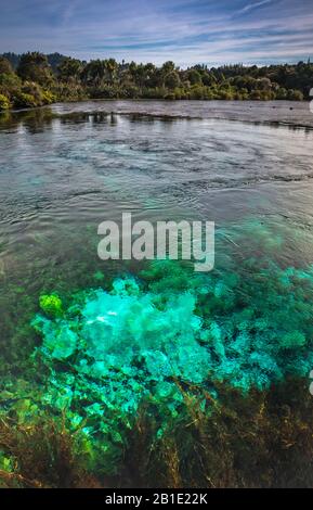 Te Waikoropupu Springs (Pupu Springs), near Takaka, Tasman District, South Island, New Zealand Stock Photo