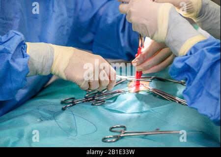 Close-up, Hands of the Professional Surgeon, doing surgery. In the Background Modern Hospital Operation Room . Stock Photo