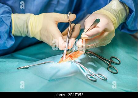 Close-up, Hands of the Professional Surgeon, doing surgery. In the Background Modern Hospital Operation Room . Stock Photo