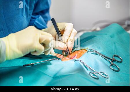 Close-up, Hands of the Professional Surgeon, doing surgery. In the Background Modern Hospital Operation Room . Stock Photo